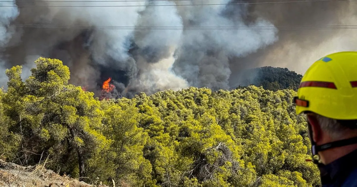 Cyprus Faces Tourism Decline Amid Livestock Culling Crisis image 1